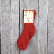 Children's 2-Pack Basic Thick-Knit Wool Socks