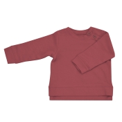 Sweatshirt in Organic Cotton