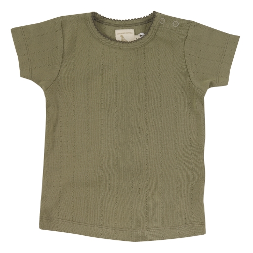 Short Sleeved Organic Cotton Pointelle Tee Shirt [Pointelle T-shirt] -  £13.00 : Cambridge Baby, Organic Natural Clothing